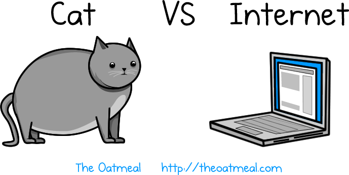Cat VS Internet